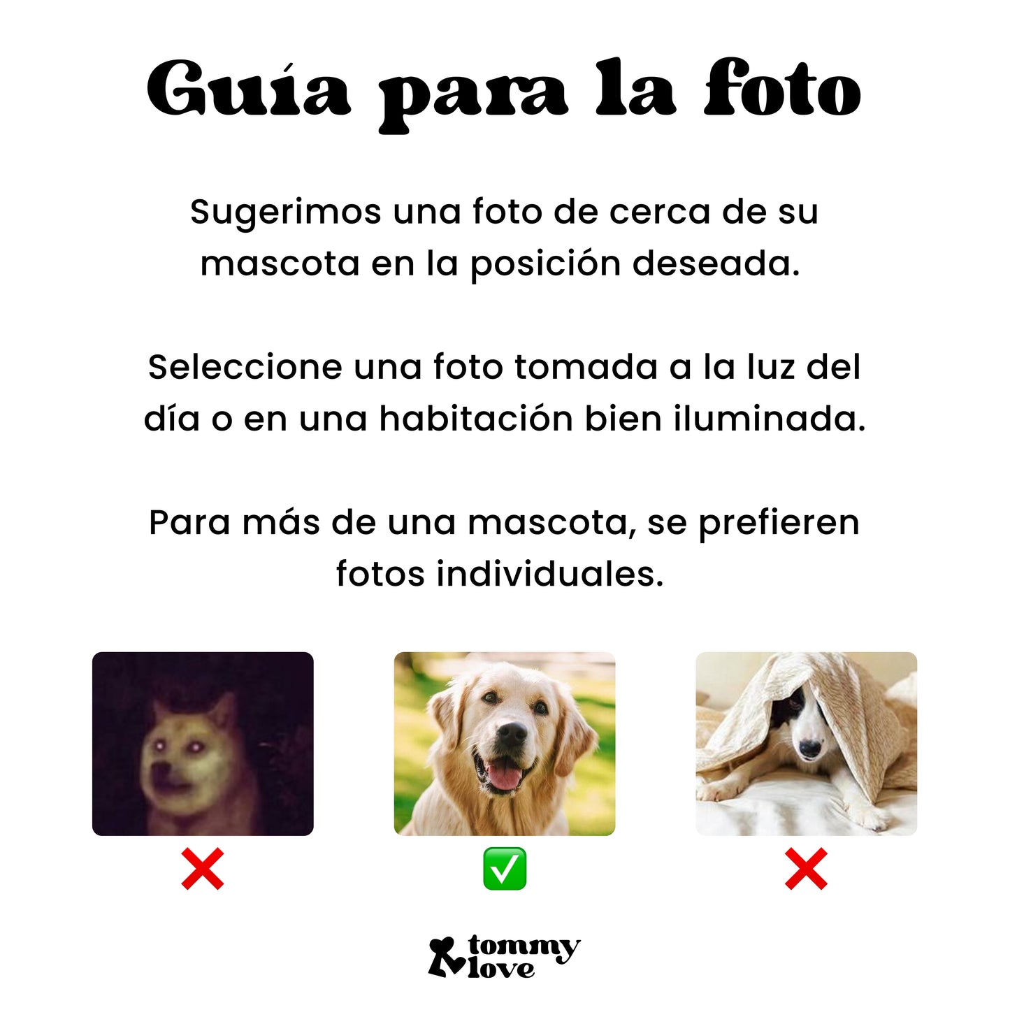 Retrato moderno personalizado de tu mascota